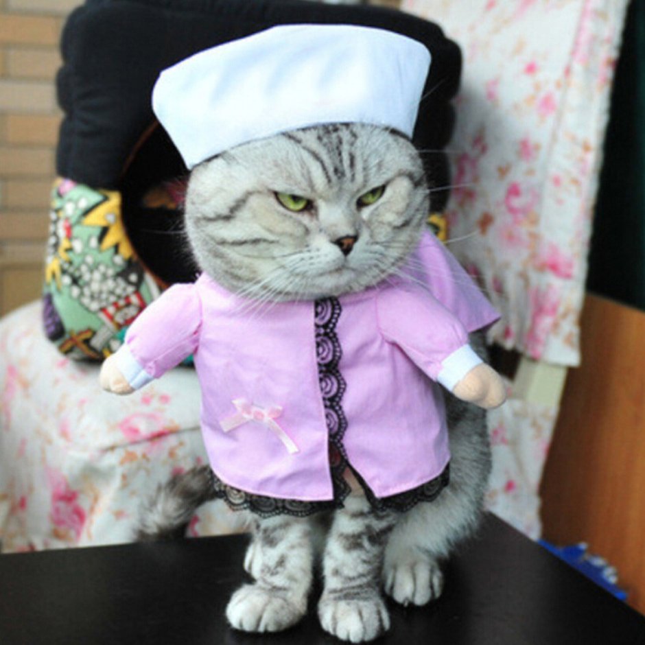 Костюм кошки