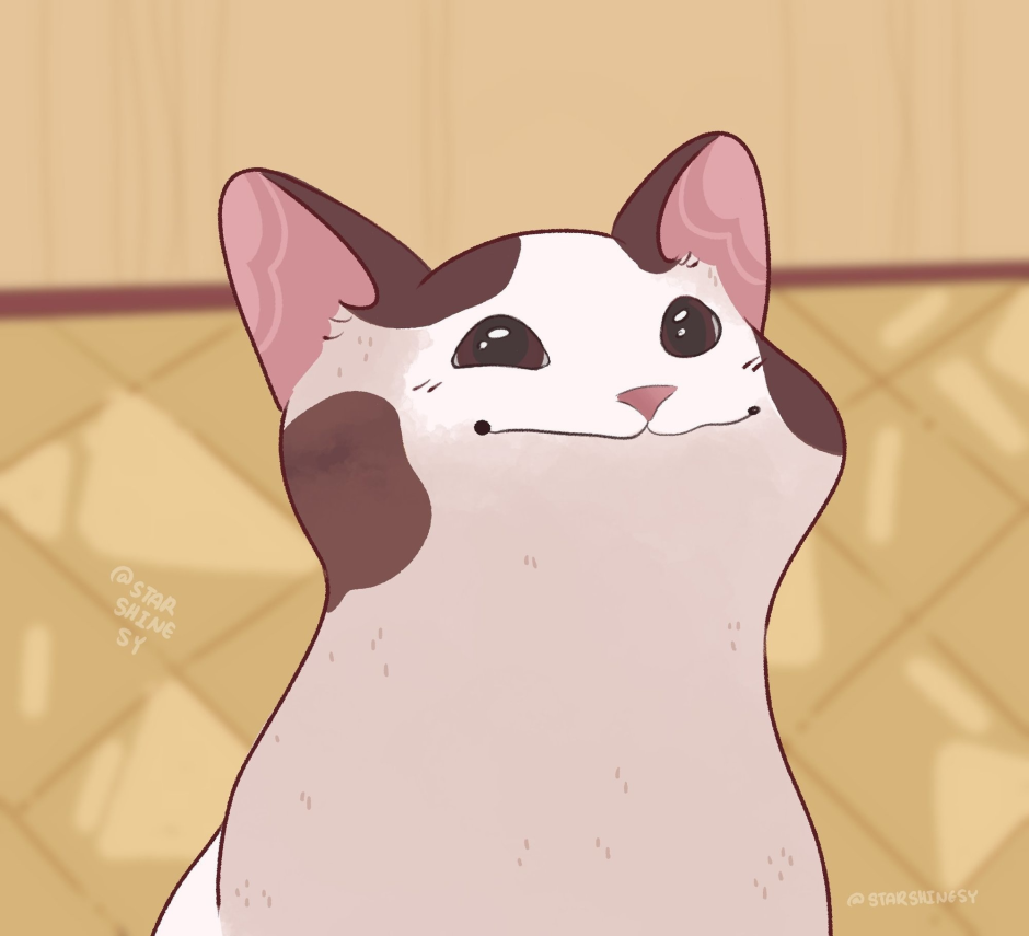 Котик поп
