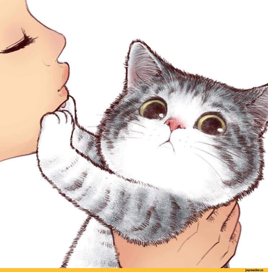 Кошка рисунок милый