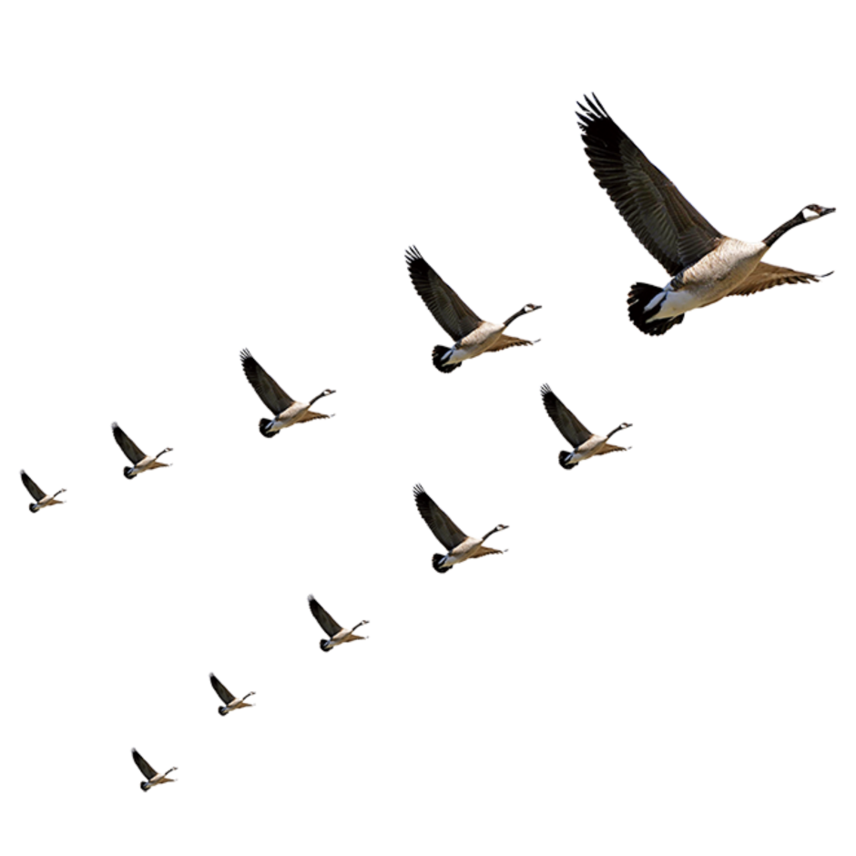 Журавлиный Клин вектор