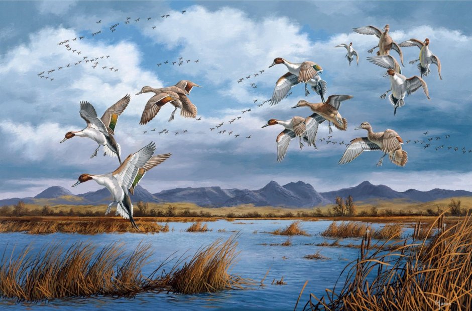 David Maass картины