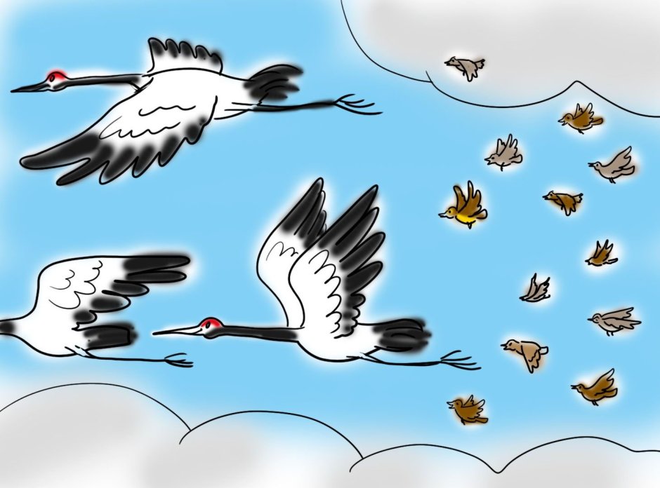 Птицы прилетели