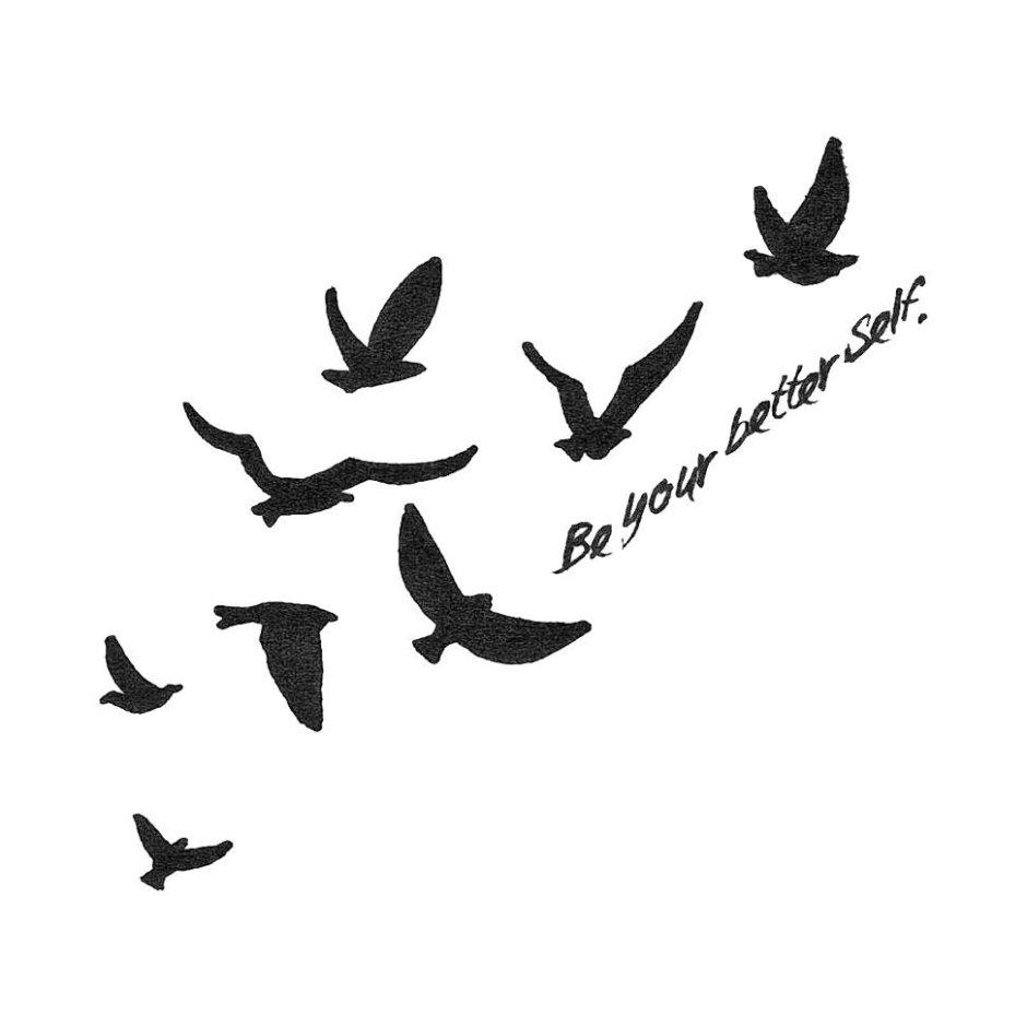 Календарь прилета птиц весной