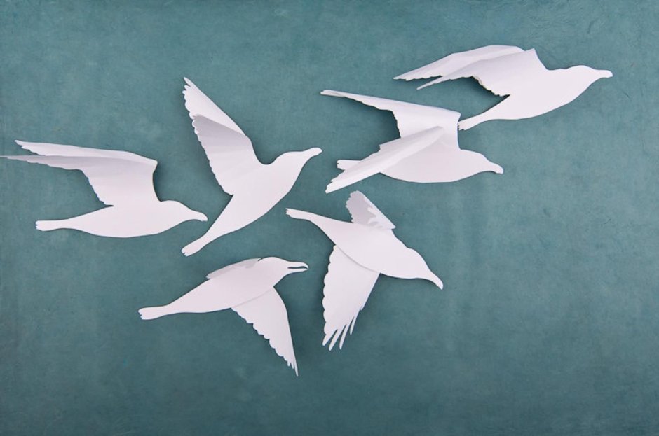 Красивые перелетные птицы