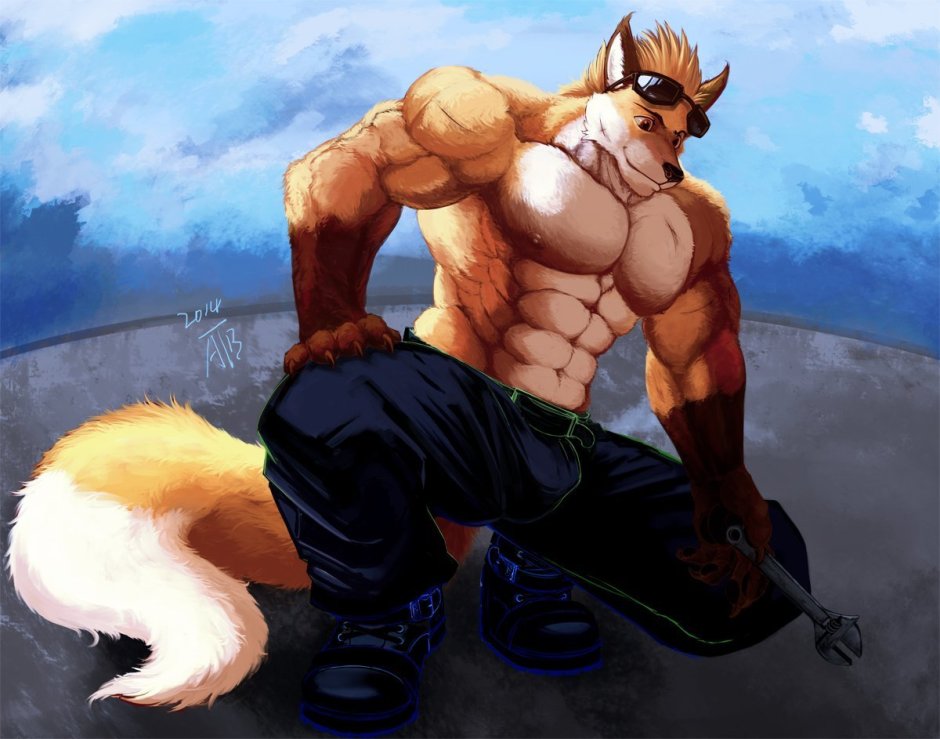 Лис muscle furry