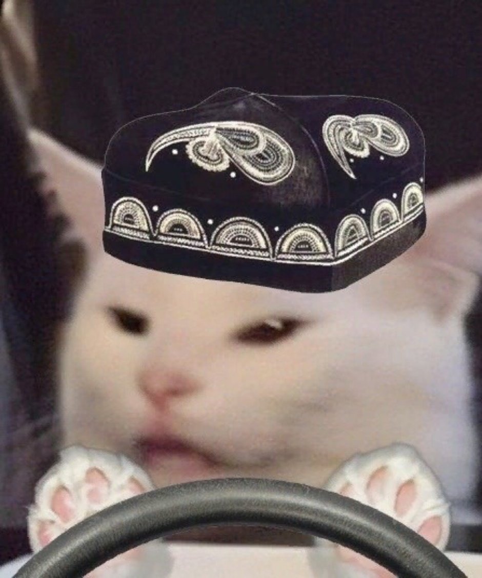 Кот казах