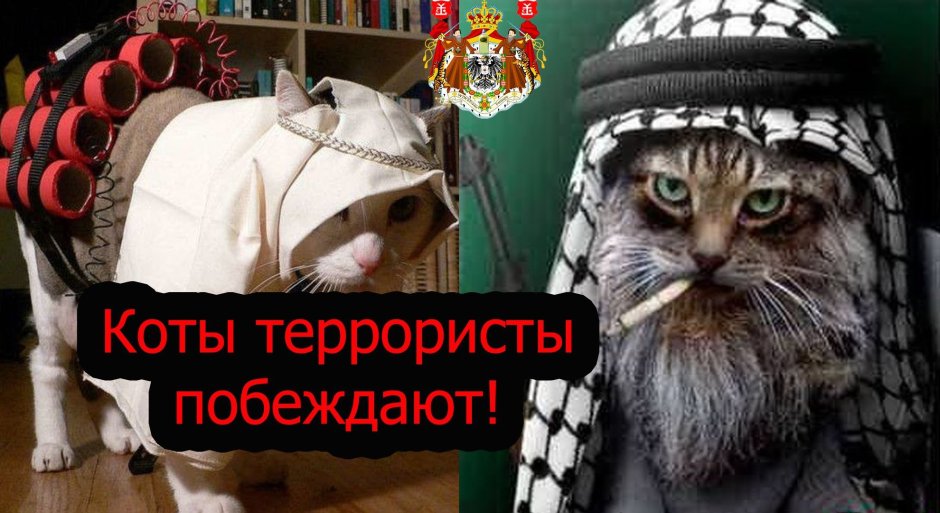 Милые коты в костюмах