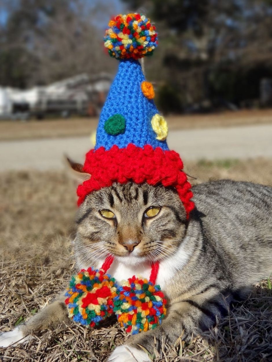 Шапка 'кошка'