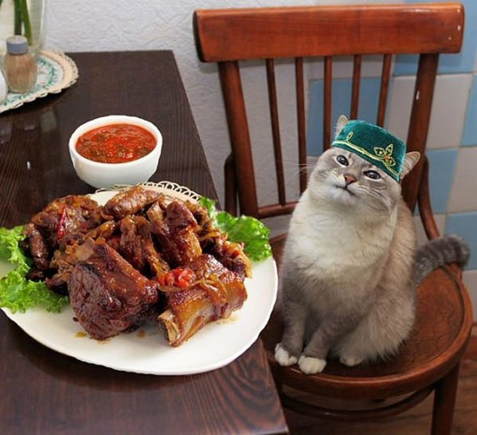 Котик в костюме лягушечки