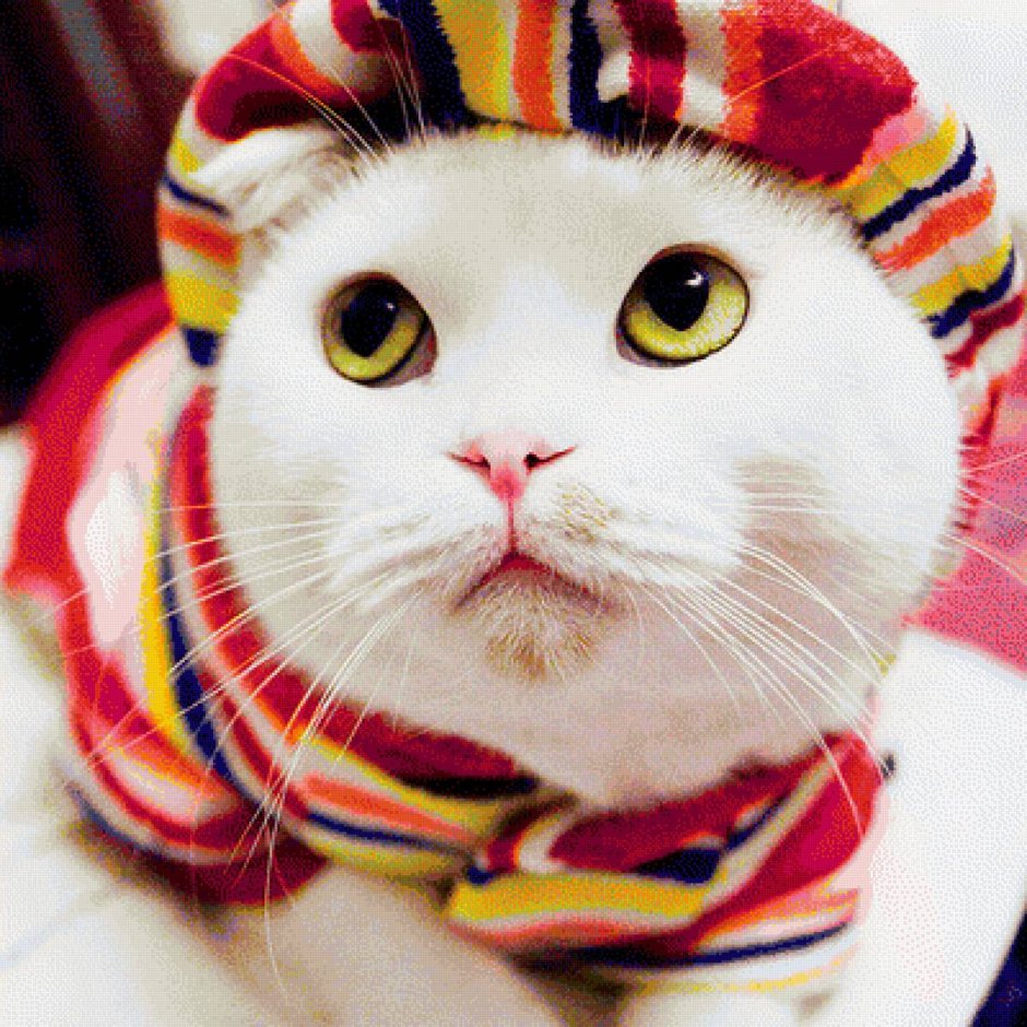 Шапка "котёнок"