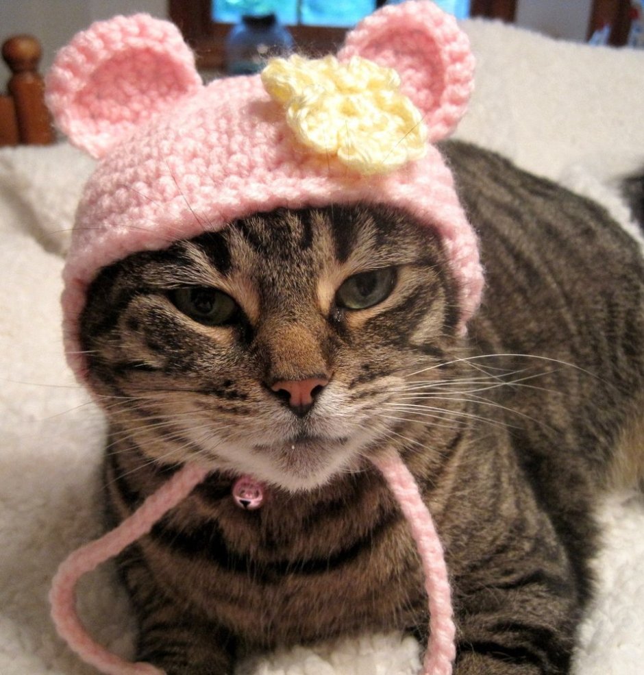 Кошка в платочке