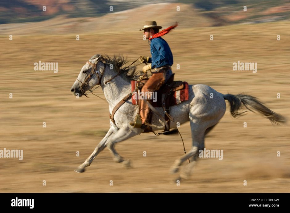 Pony West