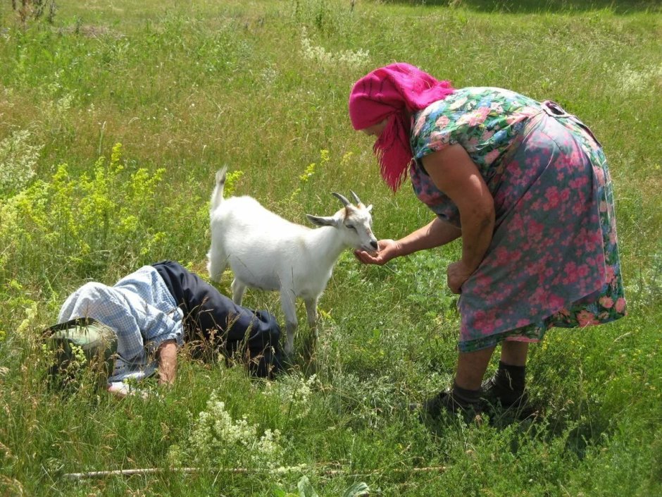 Жизнь козочек в деревне