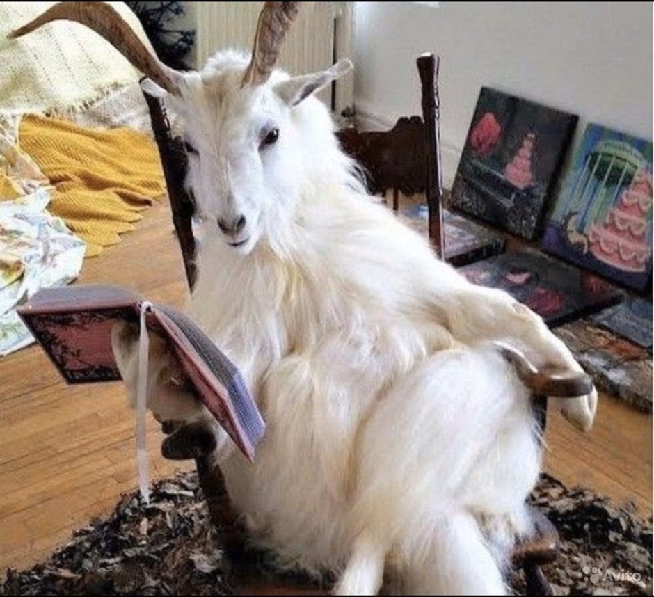 Смешной козел