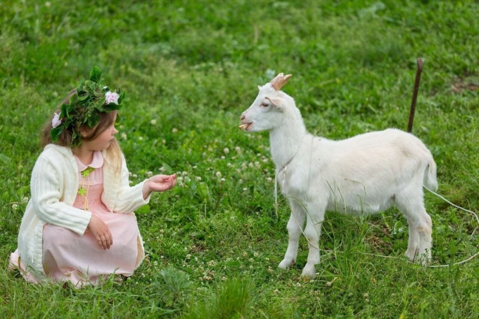 Ферма Долина коз Свердловская область