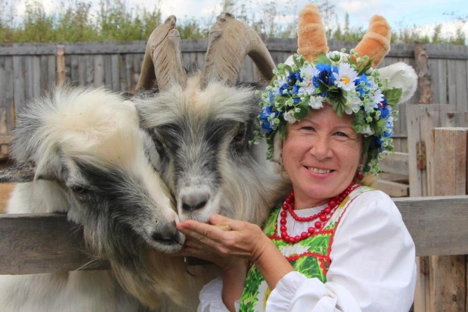 Ивановка Тверь ферма