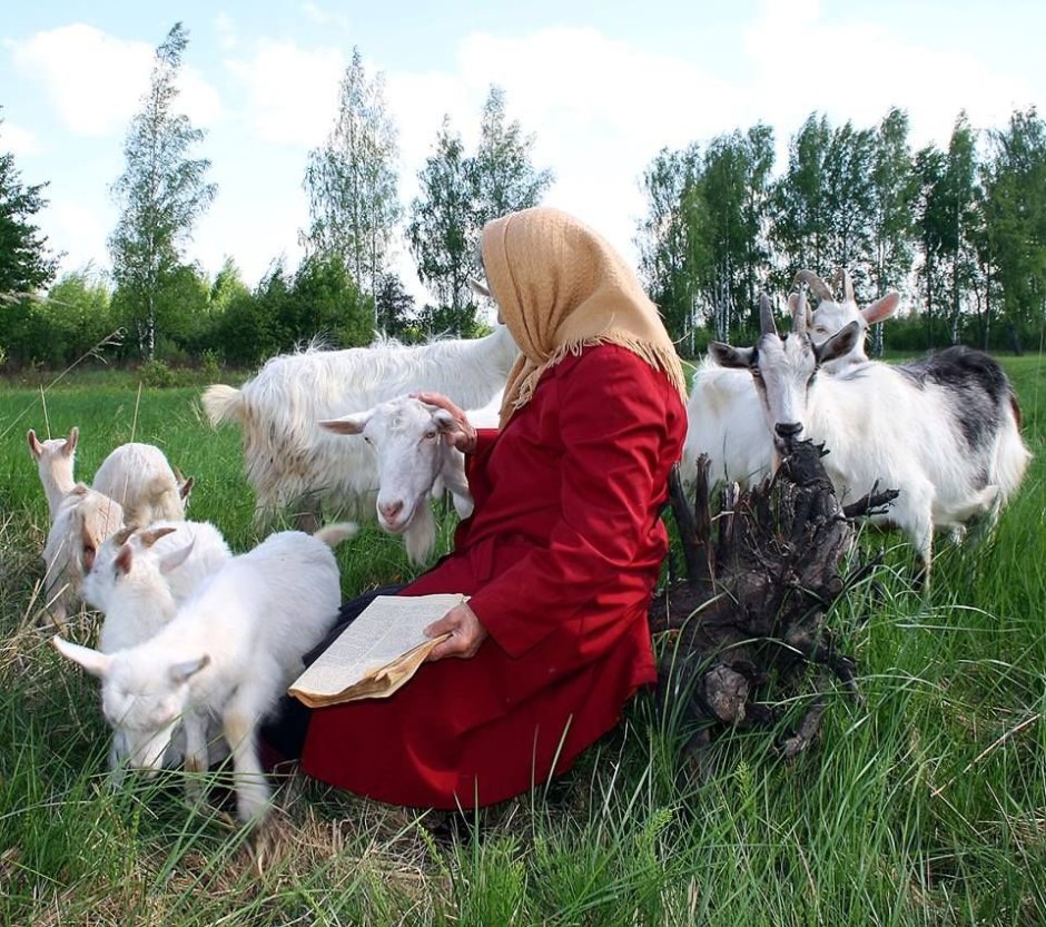 Женщина пасет коз