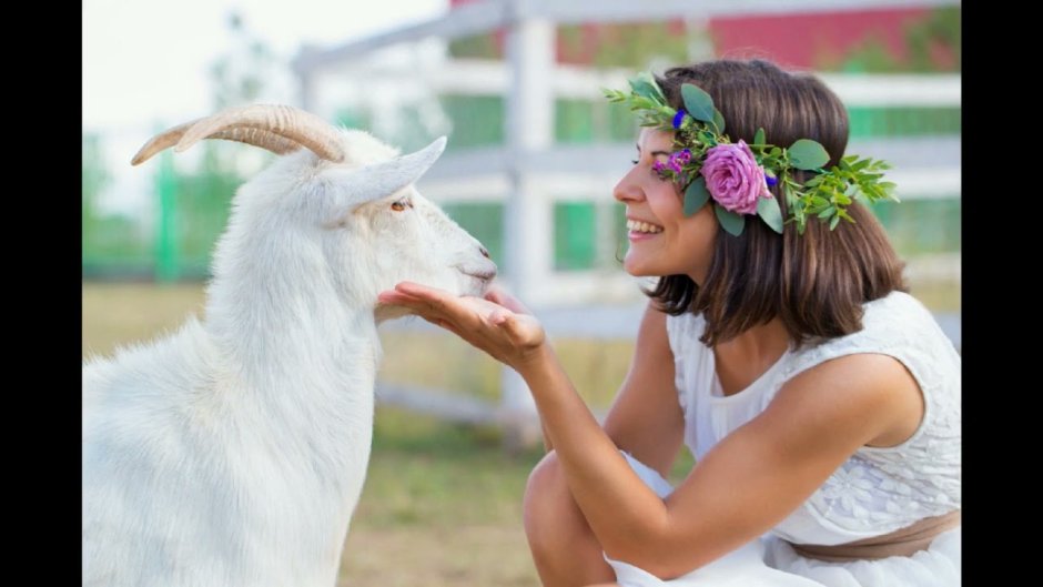 Девушка с козлом
