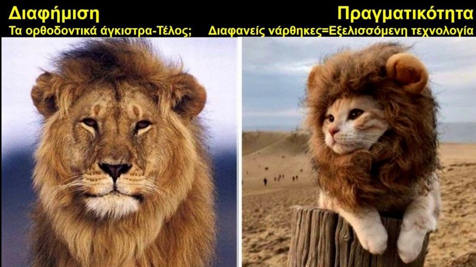 Дзюба Лев