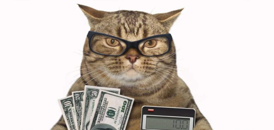 Кот с деньгами