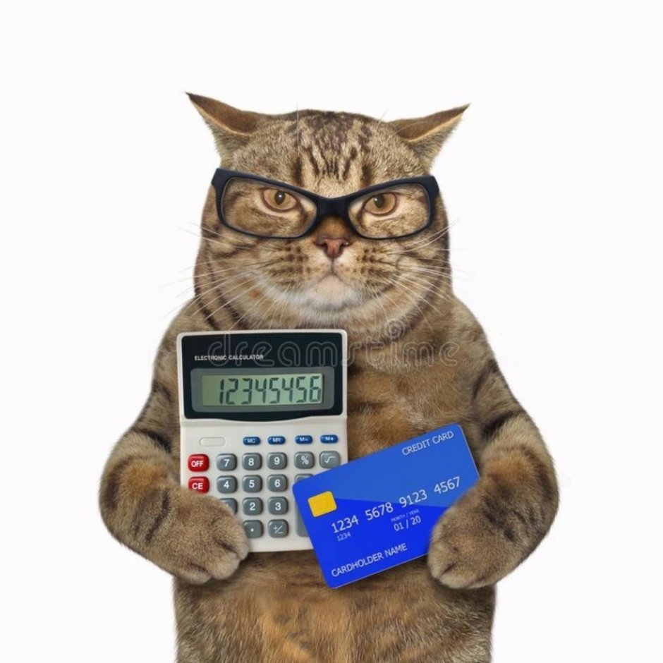 Кот с калькулятором и в очках