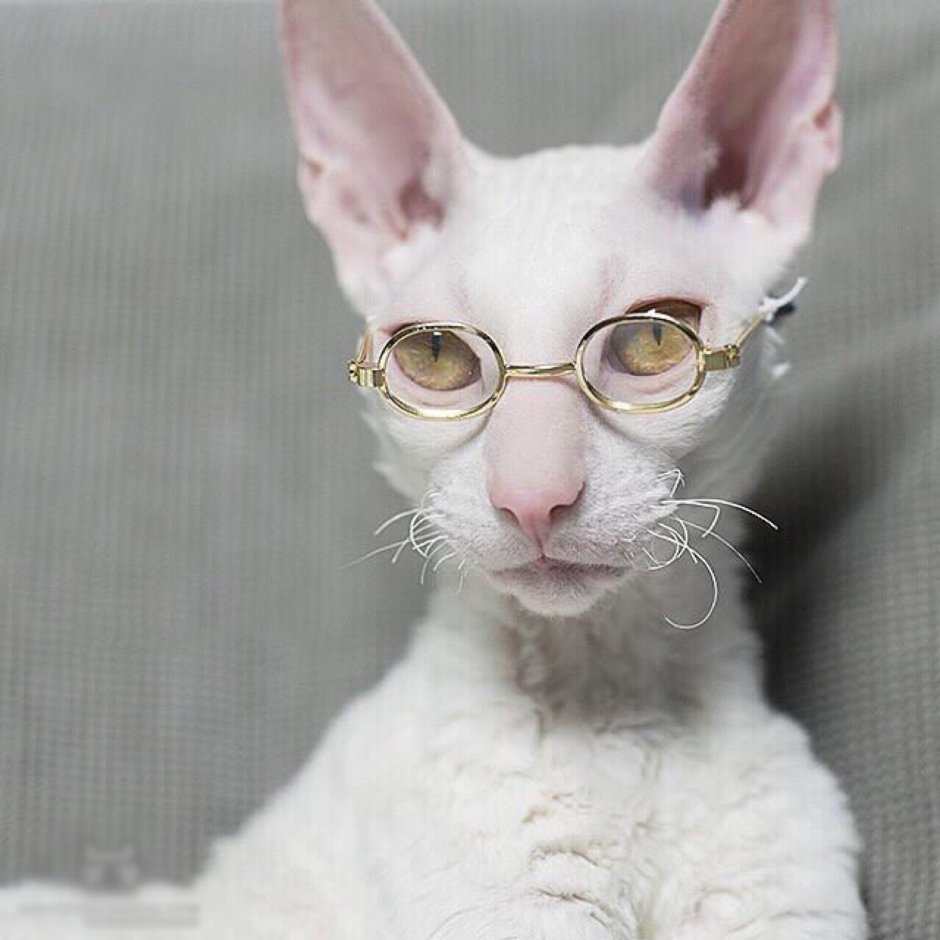 Шутки про бухгалтеров