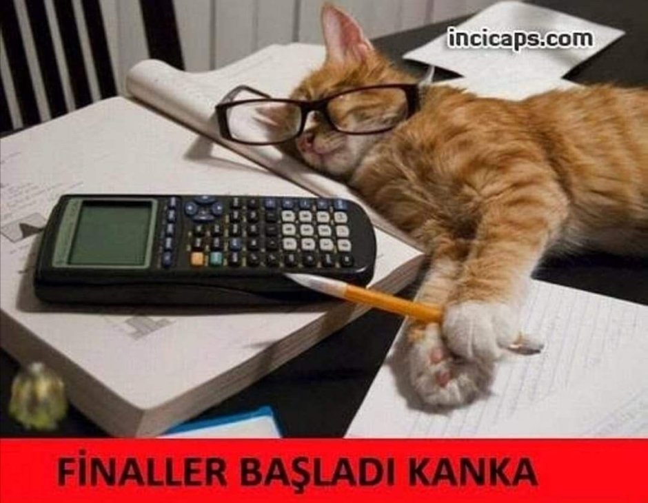 Заяц бухгалтер