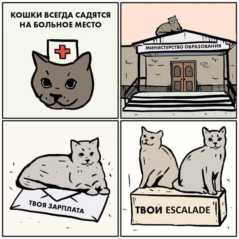 Кошка с деньгами