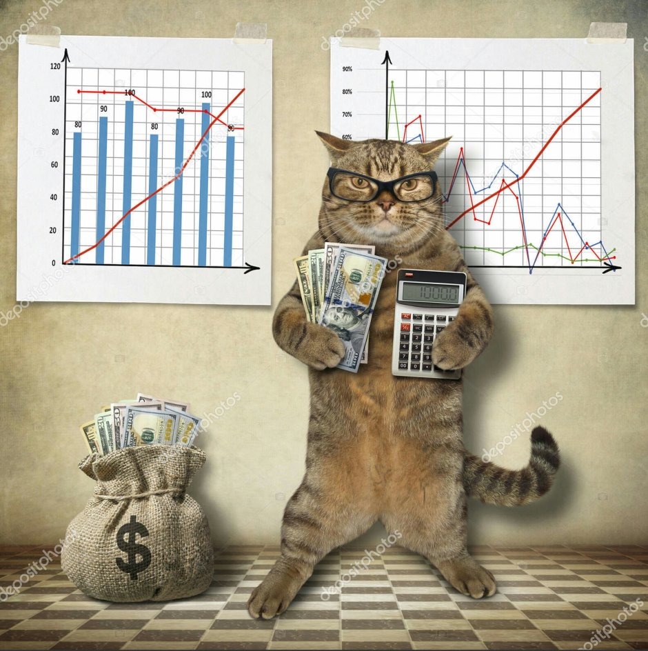 Кошка бухгалтер