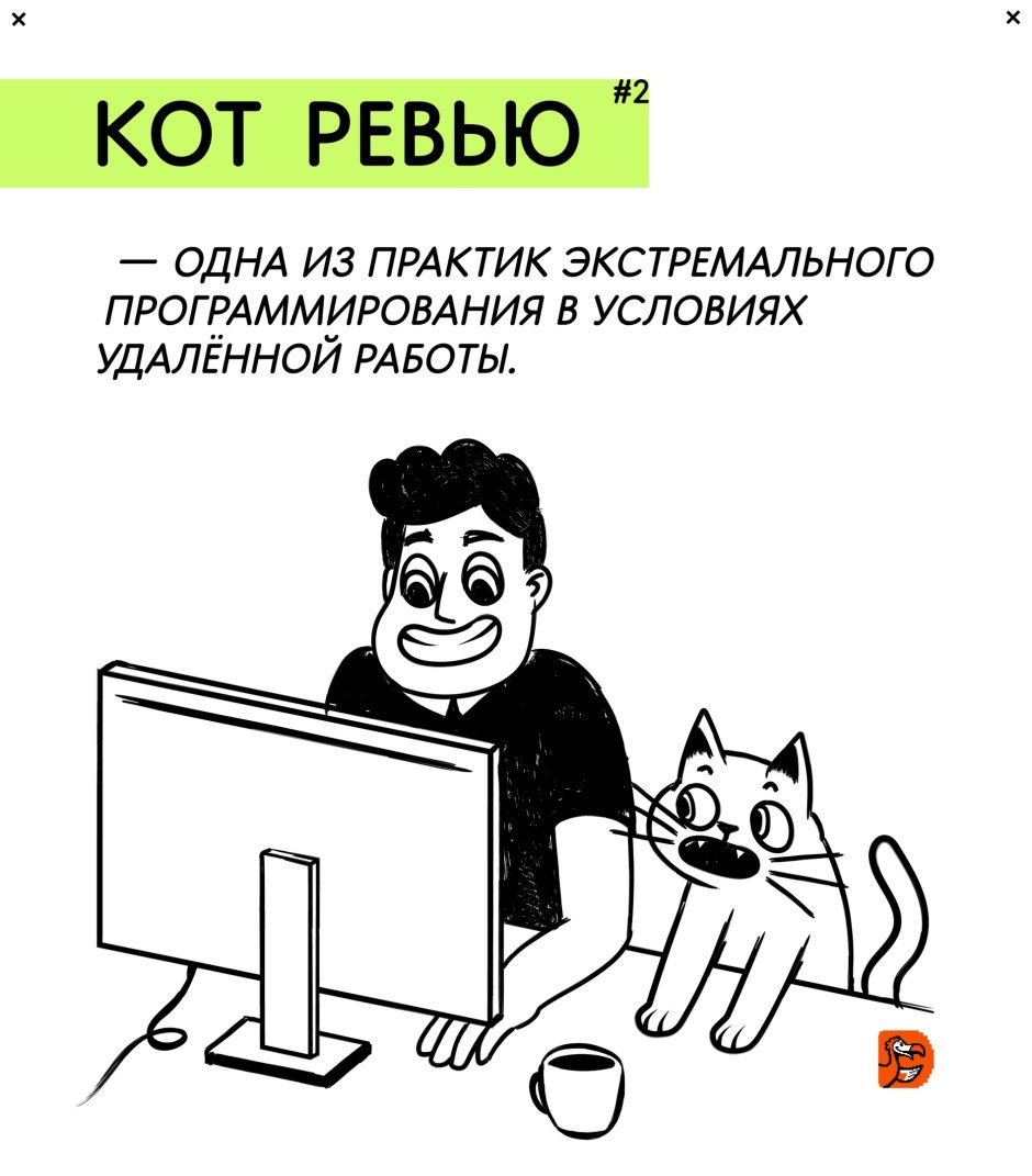 Кот с табличкой