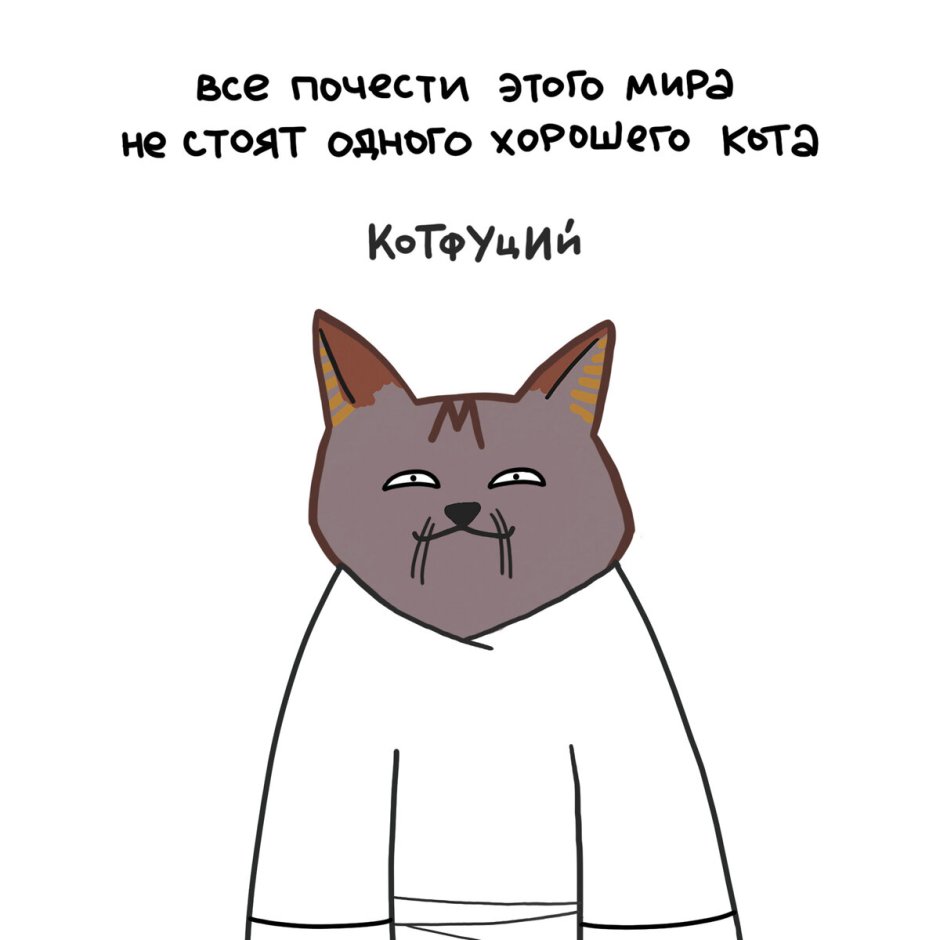 Котики с фразой крутые