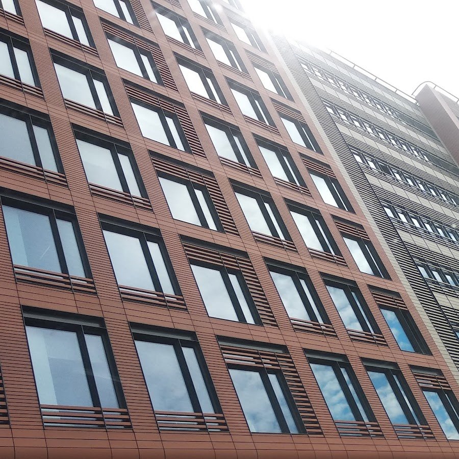 Упоротый кот