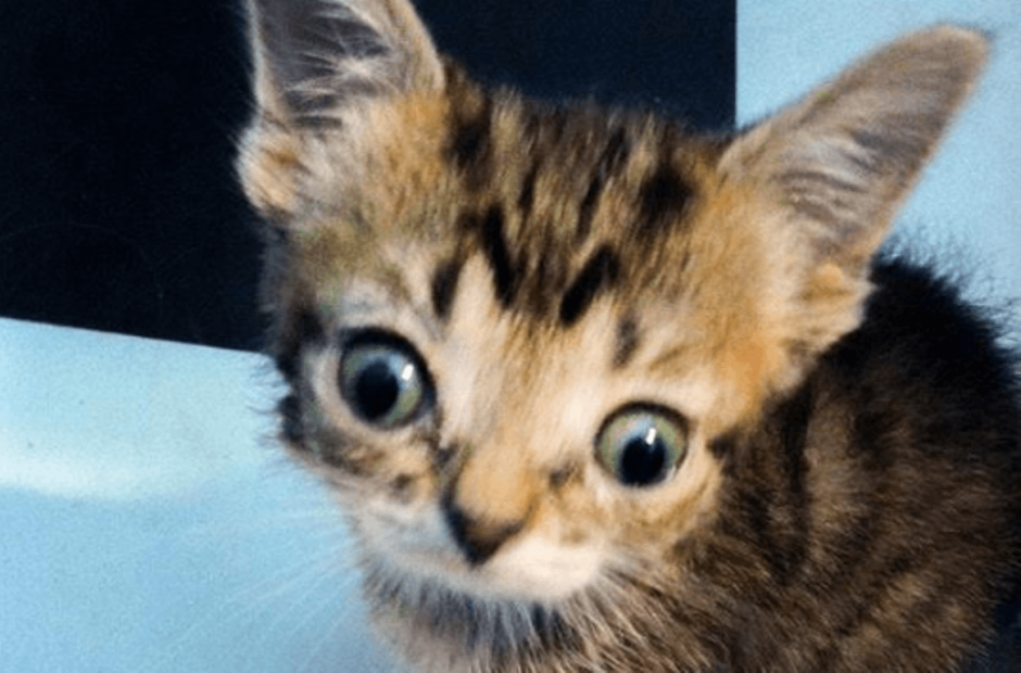 С днем рождения Артем