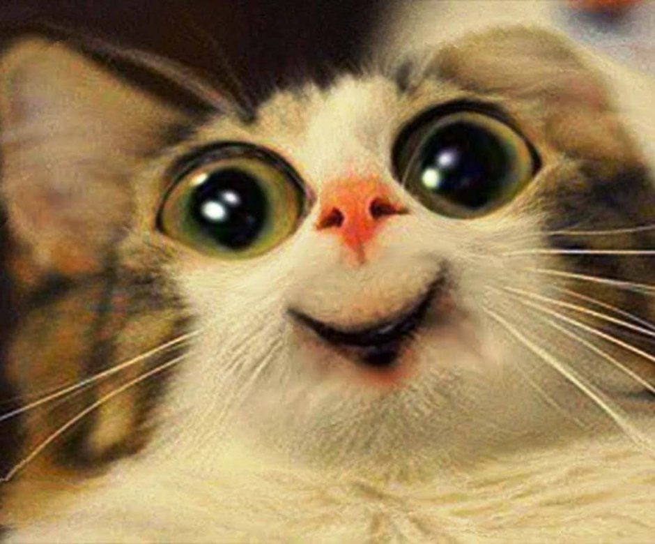 Животное с выпученными глазами