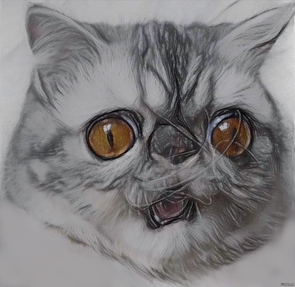 Мопс Пучеглазый