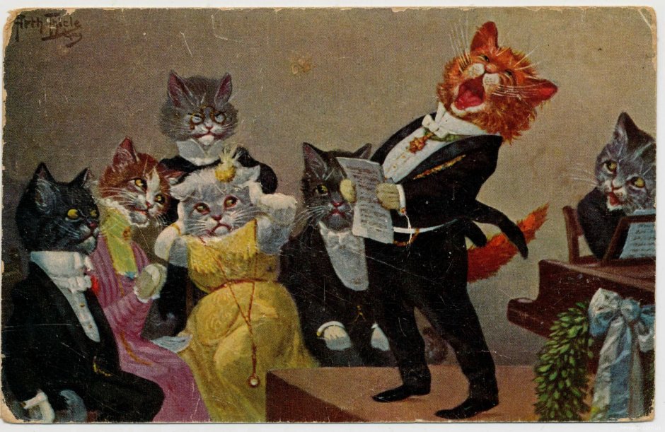 Поющие коты