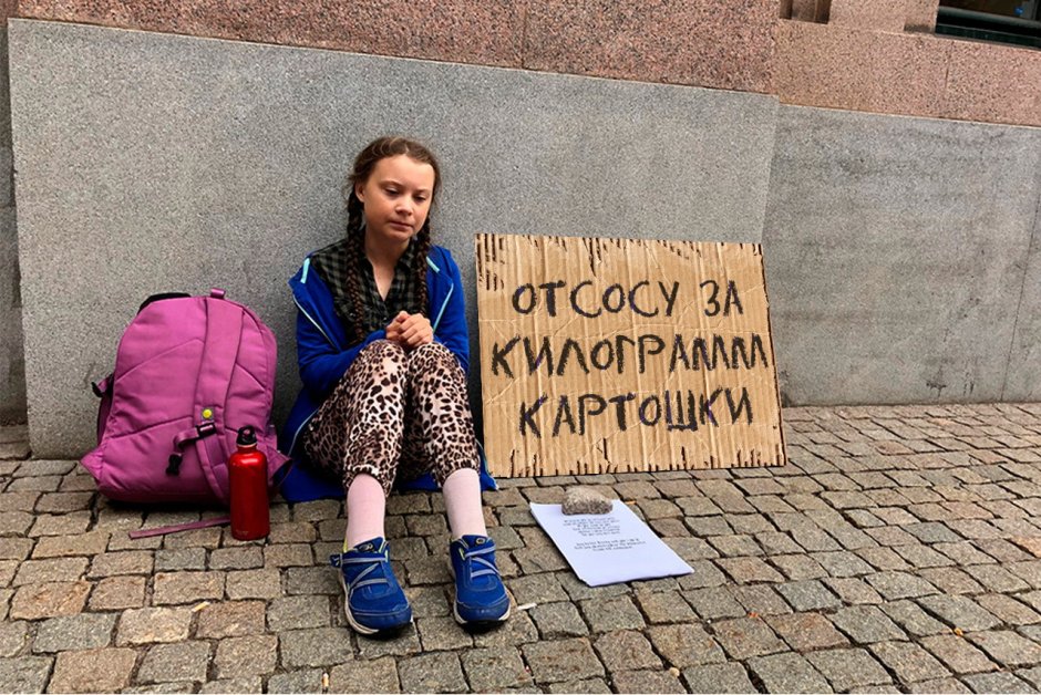 Кот просит gif