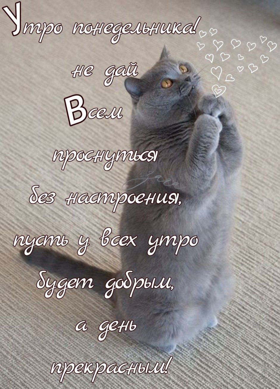 Спокойной ночи любимому