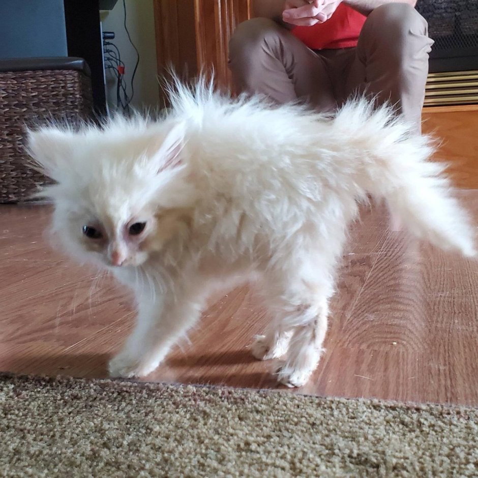 Лучшее успокоительное двухчасовой сон