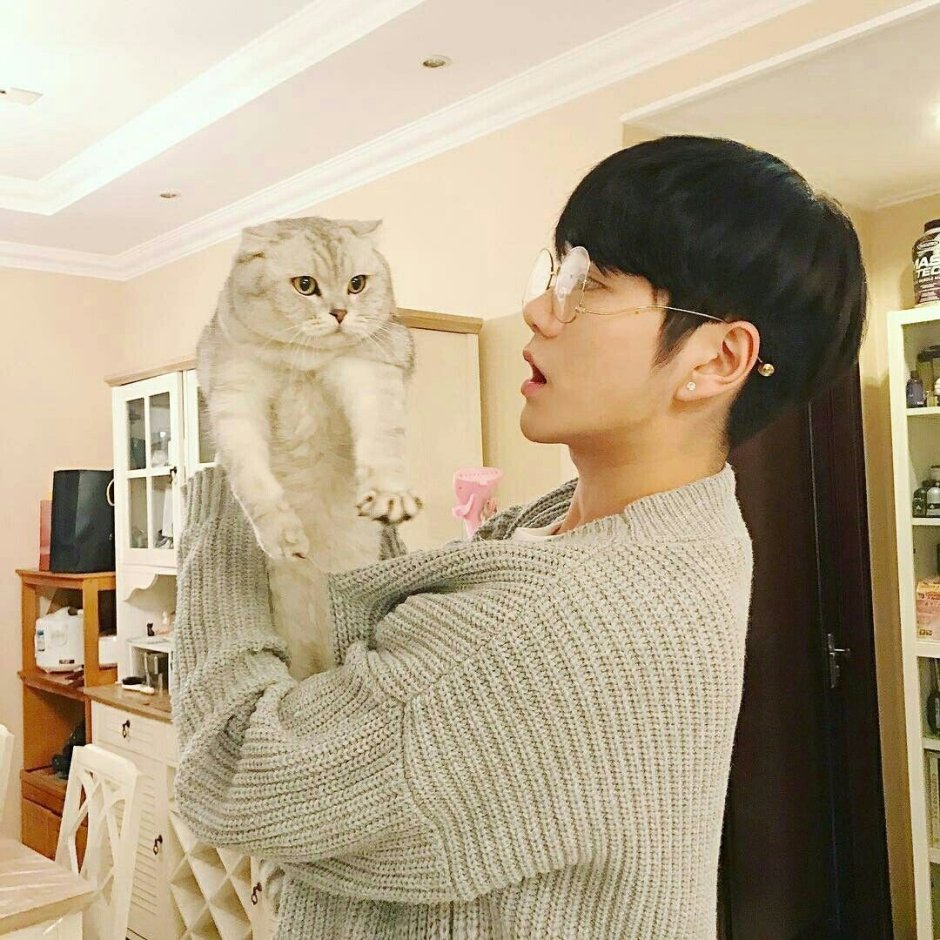Канджи кошка Тэхена