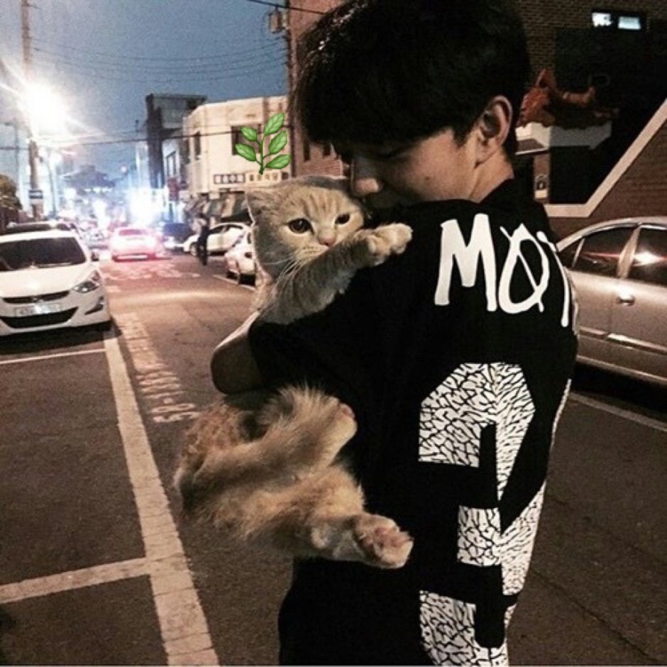 Кореец с котом