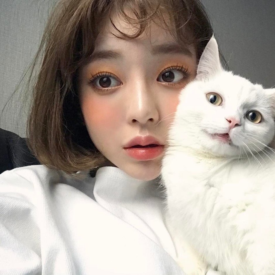 Ким Дабин кореянка кошка