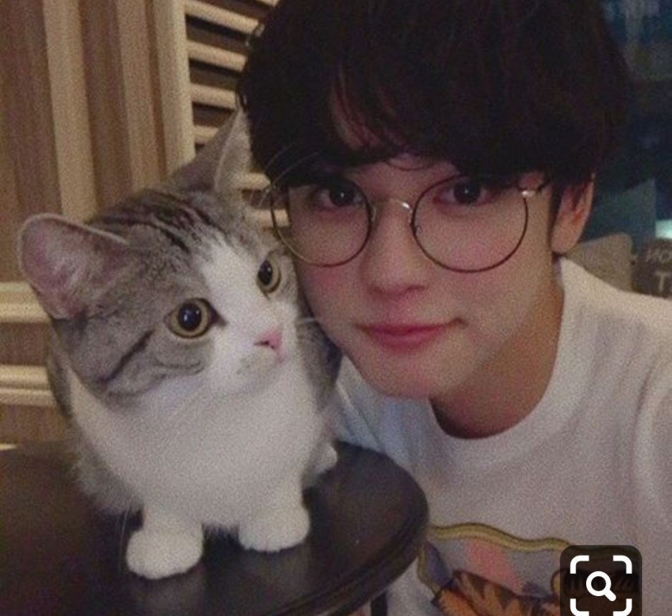 Корейские парни с котами