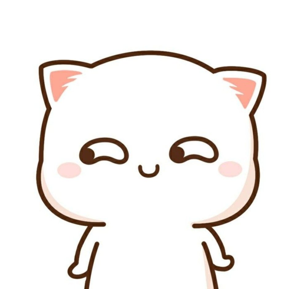 Кавайный котик