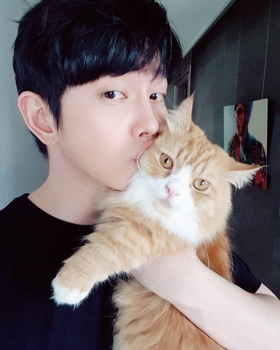 Корейские парни с котиками
