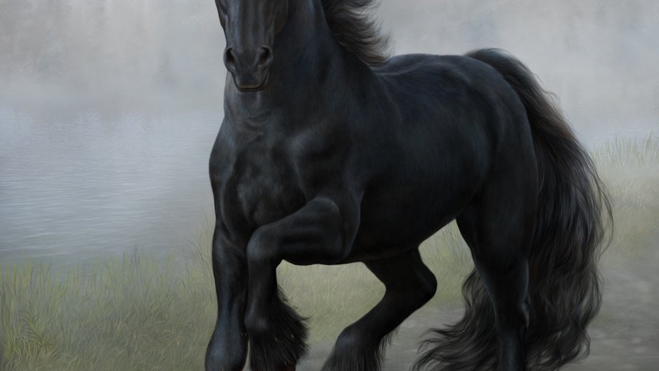 Николай Когут Black Horse