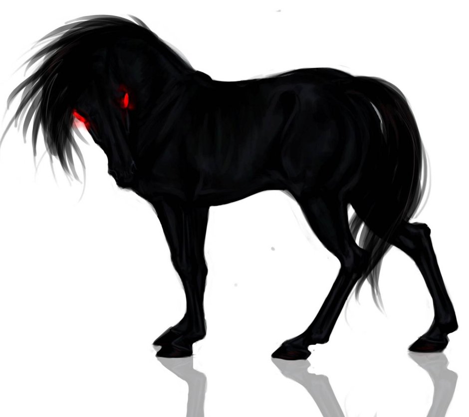 Black Horse anime