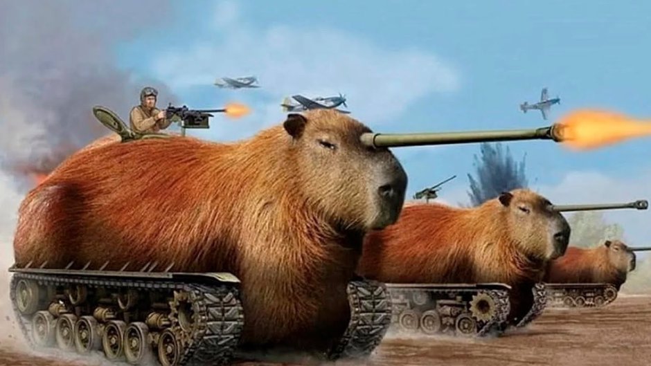 Монада дракон тигр