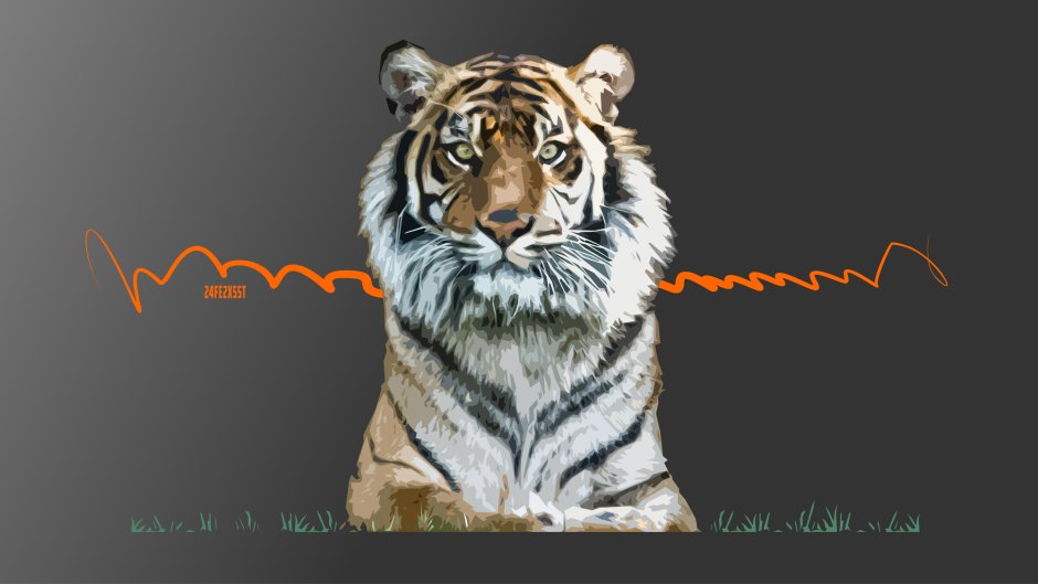 Кот тигр