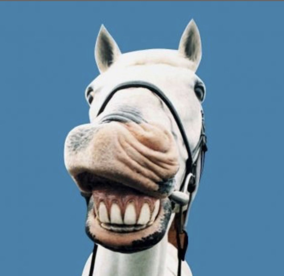 Лошадка подмигивает